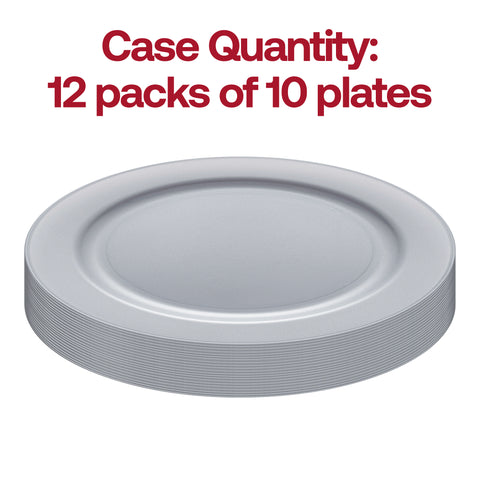 Matte Steel Gray Round Plastic Dinner Plates (10